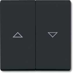 Wippe für Unterputz Jalousieschalter/-taster anthrazit glänzend 