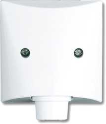 Zentralscheibe mit Tragring für Leitungsauslass 