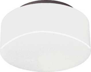 Decken- und Wandanbauleuchte 19041 Opal-Nurglasleuchte schwarz IP40 