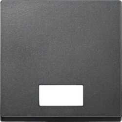 Wippe mit rechteckigem Symbolfenster anthrazit 