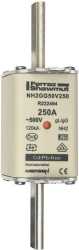 NH-Sicherung gG Gr.2 500VAC/250VDC 250A mit spannungsführenden Grifflaschen 