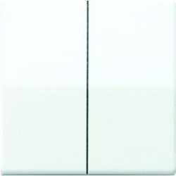 Wippe Zentralplatte für Serien-Wippschalter und Taster BA 2-fach 