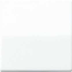 Wippe Zentralplatte bruchsicher für Wippschalter Tastschalter / Taster 