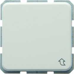 SCHUKO-Steckdose mit Klappdeckel wg Up - polarweiß/ glänzend 