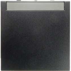 Wippe mit Beschriftungsfeld B.1/B .3/B.7 Glas anthrazit matt 