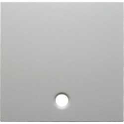 Zentralstück für Zugschalter und Zugtaster S.1/B.3/B.7 Glas polarweiß 