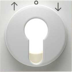 Zentralstück für Jalousie-Schlüsselschalter/-taster S1/B3/B7 Glas weiß 