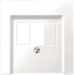 Zentralplatte für TAE/Audio/USB polarweiß glänzend 