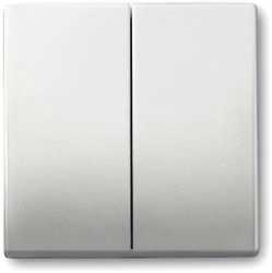 Wippe für Serien Wechsel/Wechsel Doppeltaster Edelstahl matt 