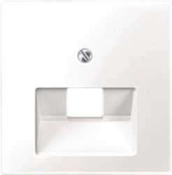 Zentralplatte für UAE-Einsatz 1-fach polarweiß glänzend 