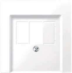 Zentralplatte für TAE/Audio/USB aktivweiß glänzend 