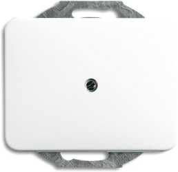 Abdeckungen alpha Datenkommunikation Blindzentralscheibe studioweiß 