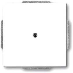 Abdeckungen future linea Datenkommunikation Blindzentralscheibe 