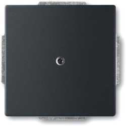 Abdeckungen future linea Datenkommunikation Blindzentralscheibe 