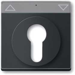 Abdeckung future für Schlüsselschalter mit Beschriftungsfeld 