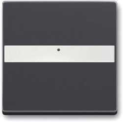 Wippe future linear für Beschriftungsfeld Lichtleiter schwarz matt 