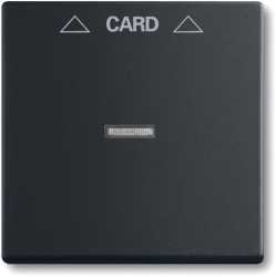 Abdeckung für Cardschalter Einsatz 2025 U 