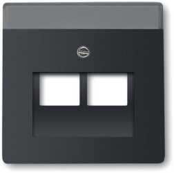 Zentralscheibe für UAE-Anschlussdosen 2-fach 