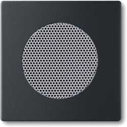 Zentralscheibe für Einbau-Lautsprecher future linear 