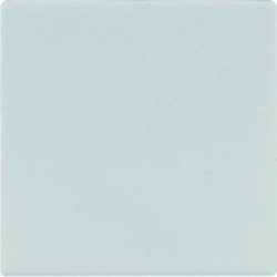 Wippe für Wippschalter Tastschalter Taster und Taster BA 1-fach grau 