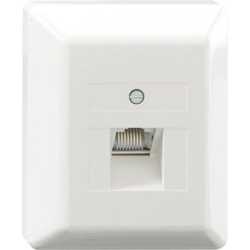 Aufputz Anschlußdatendose 1-fach 8/8 (8/8) perlweiß 