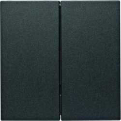 Taste 2-fach S.1 / B.X anthrazit matt 