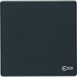 Wippe mit Aufdruck Symbol Tür Berker Q.1/Q.3 anthrazit samt 