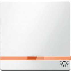 Wippe mit 2 beiliegenden Linsen und Aufdruck Symbol Licht Berker Q.1/Q 