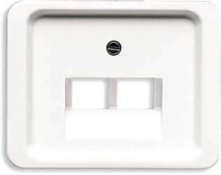 Zentralscheibe für UAE-Anschlussdosen 2-fach 