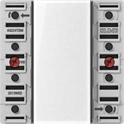 Tastsensor-Modul 24 V 2fach AC/DC 24 V 2-kanalig (4 Schaltpunkte) Besc 