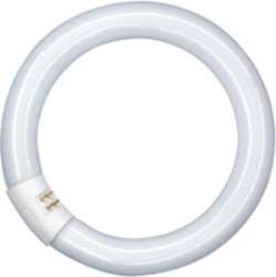 Leuchtstofflampe Ringform T9 L 40W 840 C G10Q 