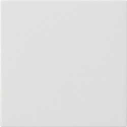 S3000 Bedienaufsatz für System 55 reinweiß matt 