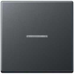 Wippe Linse Lichtleiter bruchsicher für Wipp-Tast-Kontrollschalter anthrazit matt 