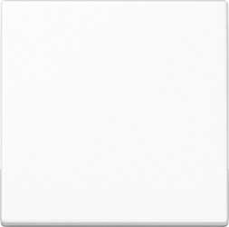 Steuertaste Standard Duroplast glänzend alpinweiß 