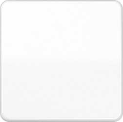 Steuertaste Standard Duroplast glänzend alpinweiß 