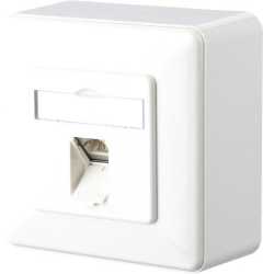 E-DAT C6A 1 Port AP reinweiß 