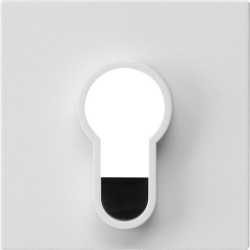 Abdeckung für Schlüsselschalter/-taster o.Aufdruck System 55 Reinweiß 