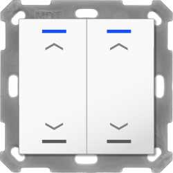 Taster Light 55 2-fach RGBW Reinweiß glänzend Jalousie 