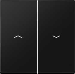 Wippe 2-fach Symbol Pfeil Duroplast lackiert Serie LS graphitschwarz matt 