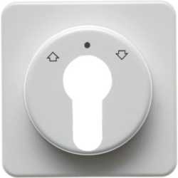 Zentralstück für Jalousie-Schlüsselschalter/-taster wg Up IP44 weiß 