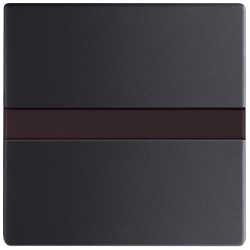 Busch-Komfortschalter flex Bedienelement mit Orientierungslicht schwarz matt 