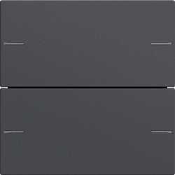 Wippenset 2-fach für Tastsensor 4 System 55 Anthrazit 