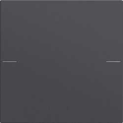 Wippenset 1-fach für Tastsensor 4 System 55 Anthrazit 