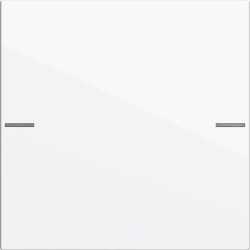 Wippenset 1-fach für Tastsensor 4 System 55 Reinweiß glänzend 