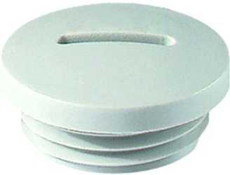 Verschlussschraube 1029 PA PG 29 hellgrau 