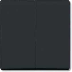 Wippe für Serien Wechsel/Wechsel Doppeltaster anthrazit glänzend 
