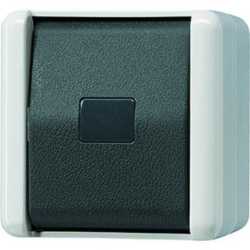 Taster 10 AX 250 V ~ Schließer 1-polig Symbol grau 