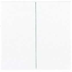 Wippe für Serien-Wippschalter Serien-Tastschalter und Taster BA 2-fach 