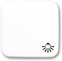 Wippe für Unterputz Taster Symbol Licht alpinweiß 