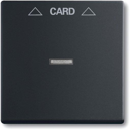 Abdeckung für Cardschalter Einsatz 2025 U 